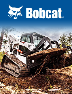 Bobcat